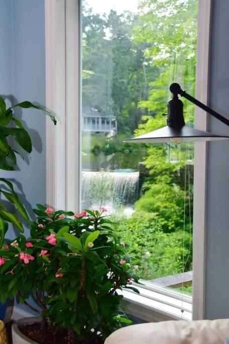 Cottage At Millpond Falls - A Romantic Escape Warwick Exterior foto